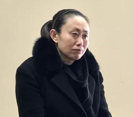 刘鑫现身记者见面会后匆匆离场，她为何要举行这场见面会？