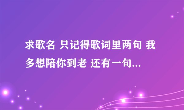 求歌名 只记得歌词里两句 我多想陪你到老 还有一句是傻傻的笑 也不知道听错没 希望大神帮忙 很喜欢这首歌