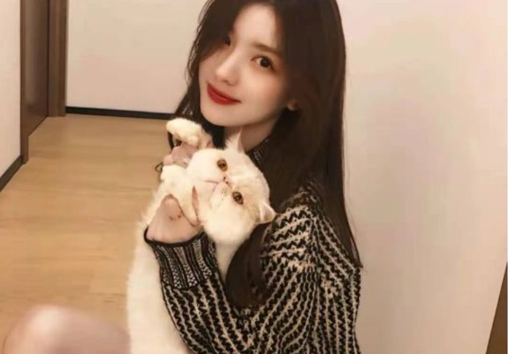 三次约会定律是什么？