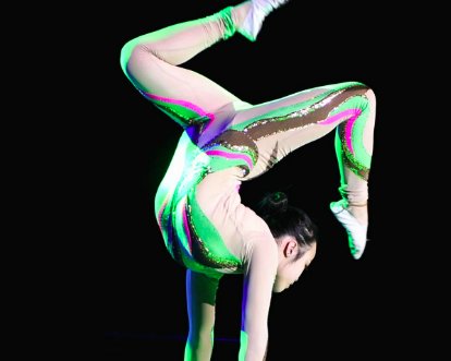 非遗小常识：以下哪个地方被誉为天下杂技第一乡？