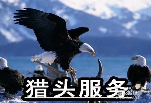 想去上海找工作,怎么办?