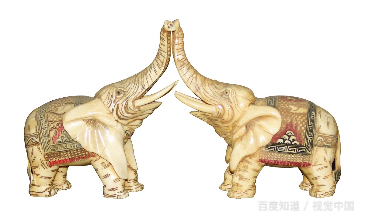 想要自己谈对象，我该怎么找？