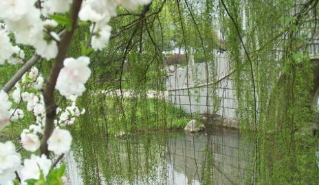 2020清明节是哪一天？