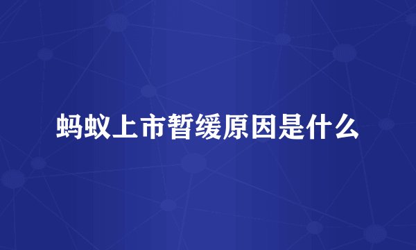 蚂蚁上市暂缓原因是什么