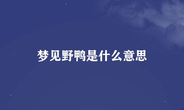 梦见野鸭是什么意思