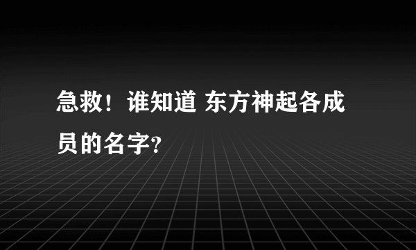 急救！谁知道 东方神起各成员的名字？
