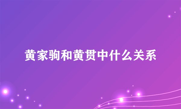 黄家驹和黄贯中什么关系