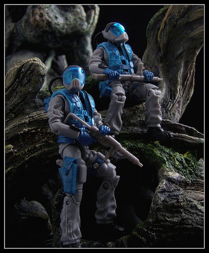 北极七鳃鳗的分布范围