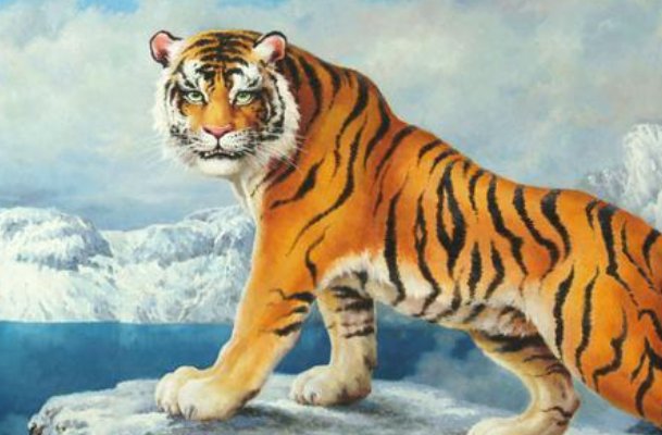 严父慈母指什么动物