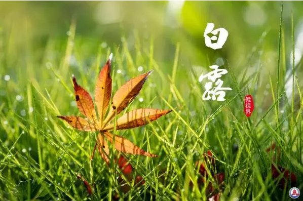 白露有什么美好的寓意