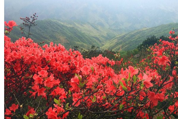 雷云拍着大手（仿写拟人句）