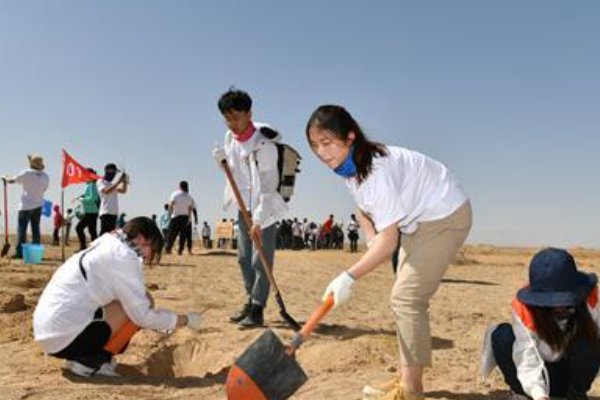 11月21日小鸡答案是什么