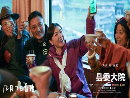 县委大院电视剧30集播出时间