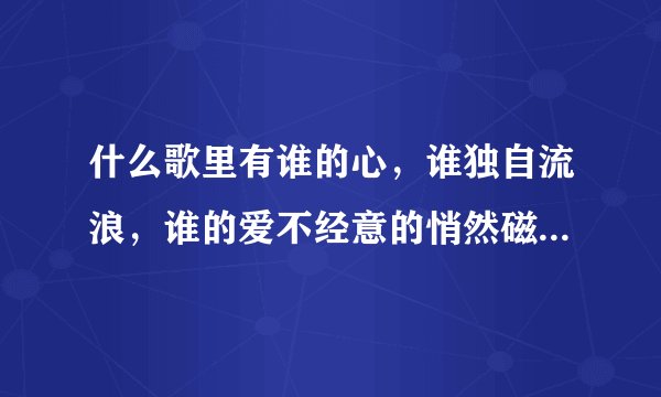 什么歌里有谁的心，谁独自流浪，谁的爱不经意的悄然磁场，我只能往前飞，飞过千山万水？