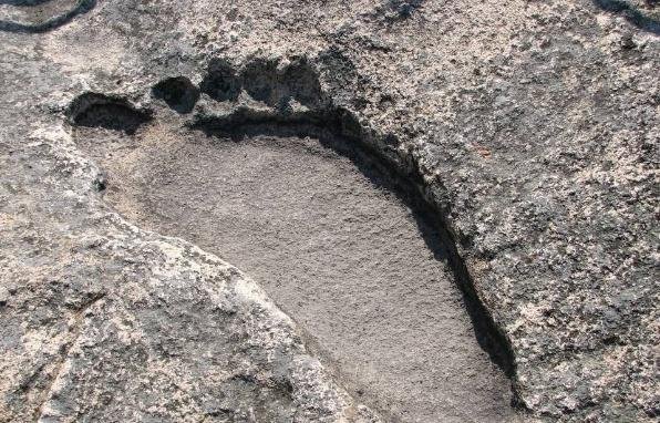 沙特发现距今12万年前的人类脚印,如何断定这是人的脚印?