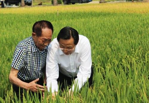 电影《袁隆平》收视创新高，哪位演员出演了剧中的袁隆平？