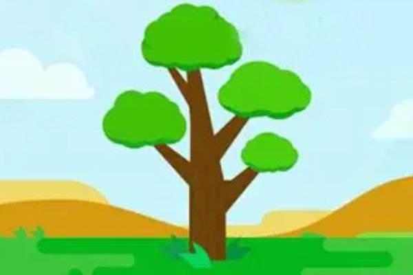 11月21日小鸡答案是什么