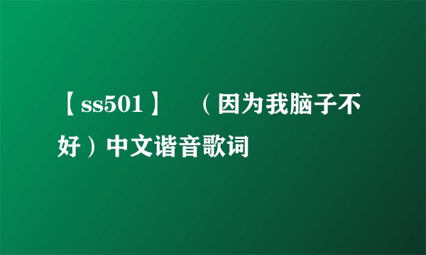 【ss501】 （因为我脑子不好）中文谐音歌词