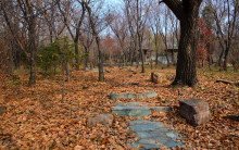 什么时候是晚秋？ 这个时侯是吧