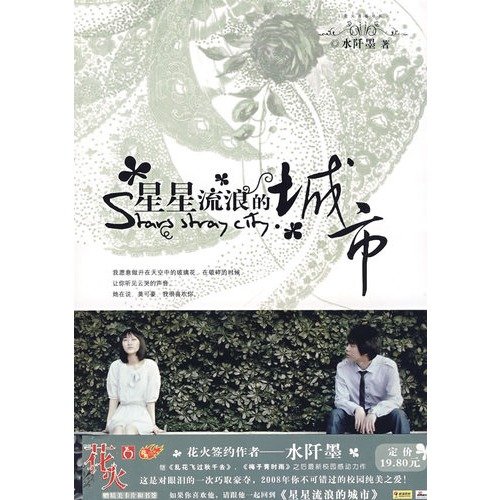 星星流浪的城市的介绍