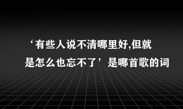 ‘有些人说不清哪里好,但就是怎么也忘不了’是哪首歌的词