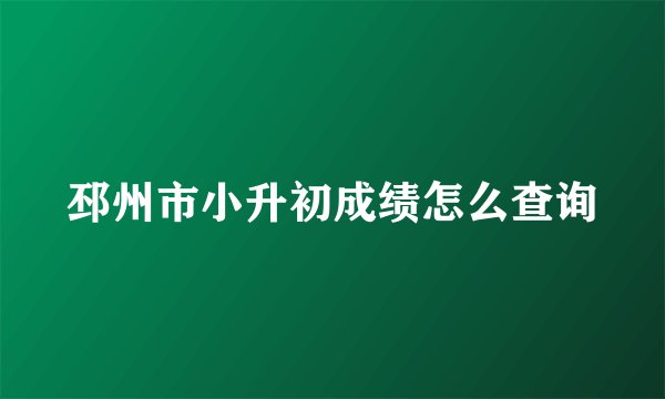 邳州市小升初成绩怎么查询