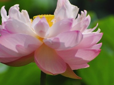 如沐春风下一句是什么？