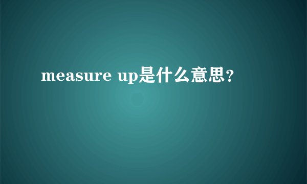 measure up是什么意思？