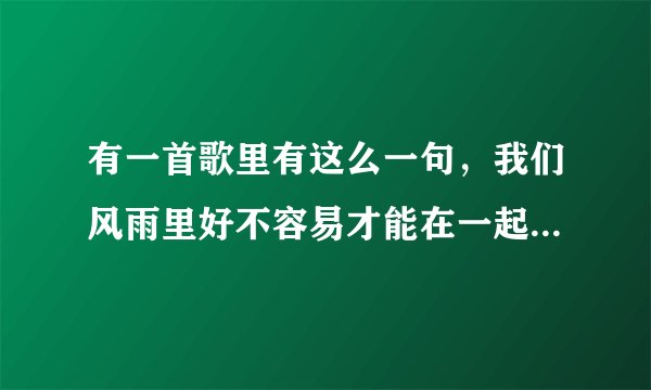 有一首歌里有这么一句，我们风雨里好不容易才能在一起说什么也不会再让你离我而去，这首歌名叫什么