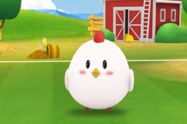 11月21日小鸡答案是什么