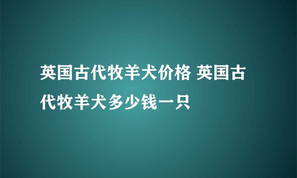 英国古代牧羊犬价格 英国古代牧羊犬多少钱一只