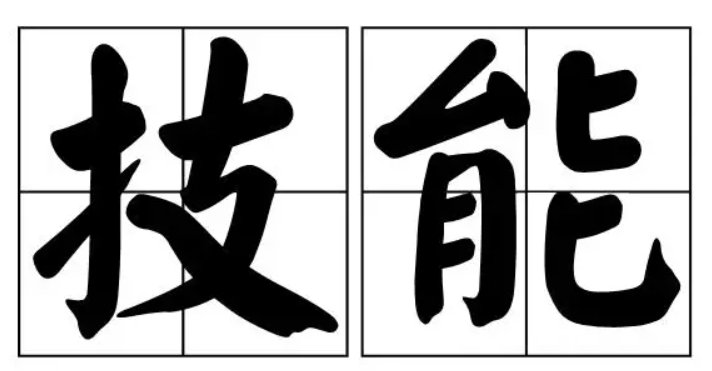 技能是什么意思