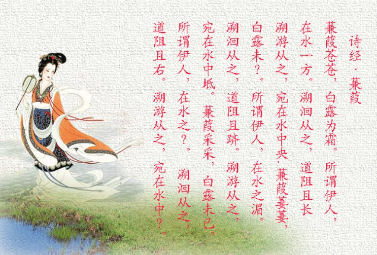 解释下 白露为霜 什么意思？