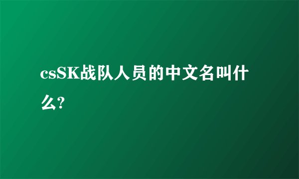 csSK战队人员的中文名叫什么?