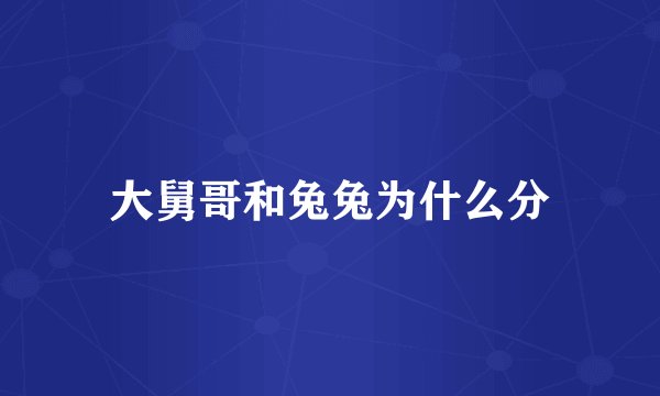 大舅哥和兔兔为什么分