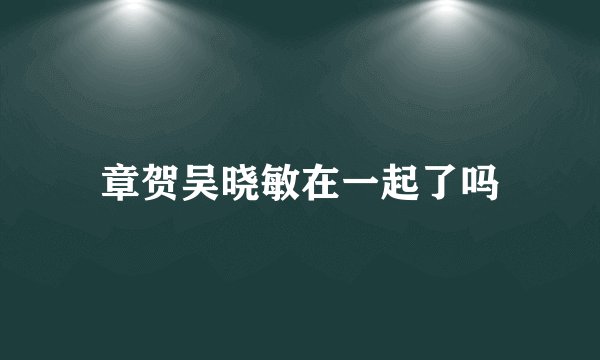 章贺吴晓敏在一起了吗