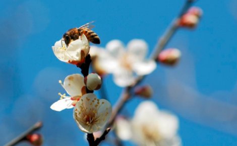 2019年，什么时候打春？