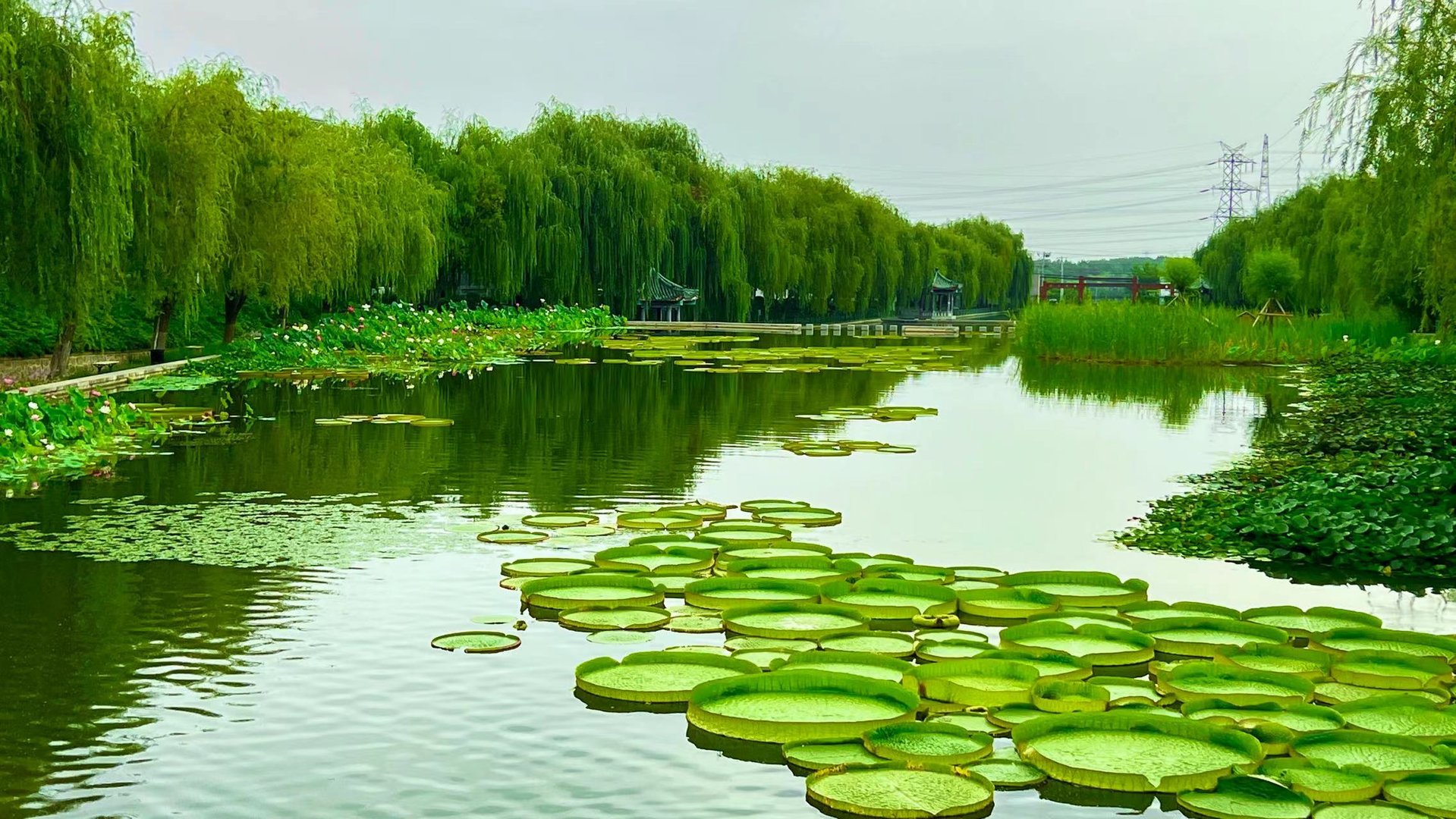 北京海淀驾校约车老进不去，七点三十五能约，到八点还进不去，怎么办啊？