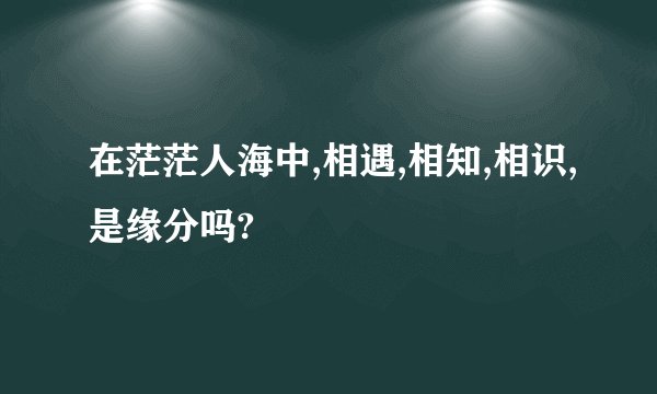 在茫茫人海中,相遇,相知,相识,是缘分吗?