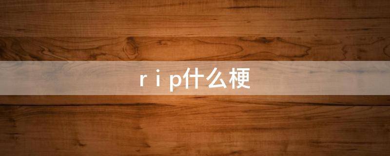 r i p什么梗