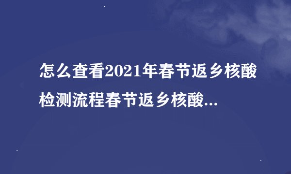 怎么查看2021年春节返乡核酸检测流程春节返乡核酸检测流程是什么
