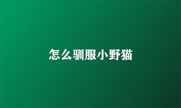 怎么驯服小野猫