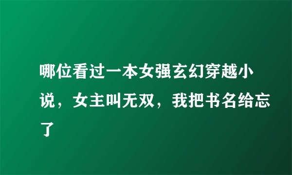 哪位看过一本女强玄幻穿越小说，女主叫无双，我把书名给忘了