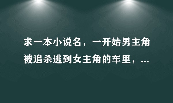 求一本小说名，一开始男主角被追杀逃到女主角的车里，女主坐在男主身上开车?