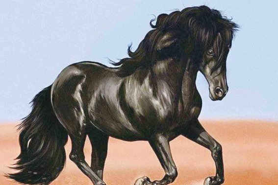 什么生肖的人孝顺父母呢？