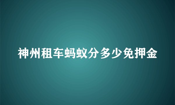 神州租车蚂蚁分多少免押金