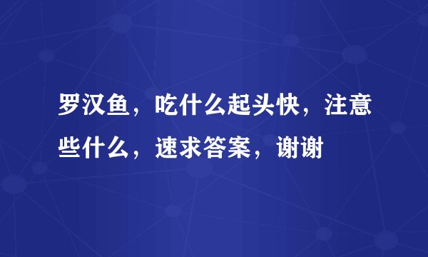 罗汉鱼，吃什么起头快，注意些什么，速求答案，谢谢