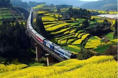 上完20天的班又是小长假，你对下个假期有哪些规划？