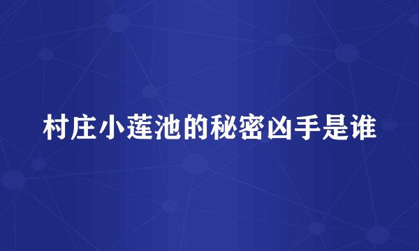 村庄小莲池的秘密凶手是谁