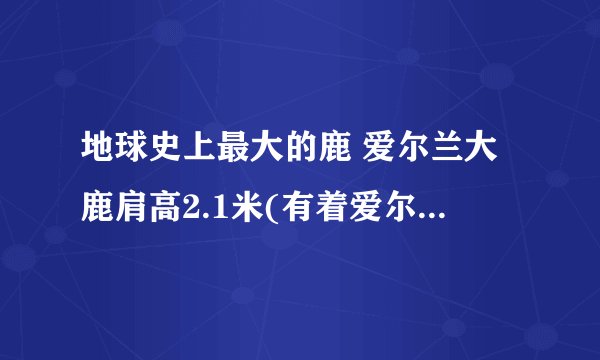 地球史上最大的鹿 爱尔兰大鹿肩高2.1米(有着爱尔兰麋鹿之称)